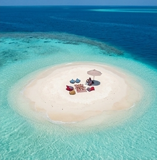Sandbank & Snorkel Trip