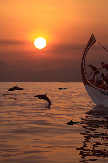 Sunset Dolphin Cruise